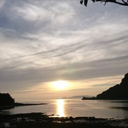 遊漁船 家入 釣果