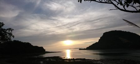 遊漁船 家入 釣果