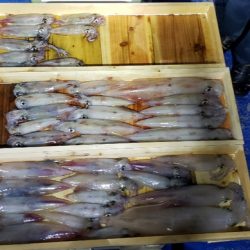 海龍丸（石川） 釣果