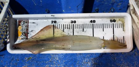 海龍丸（石川） 釣果