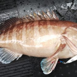 第二龍勢丸 釣果