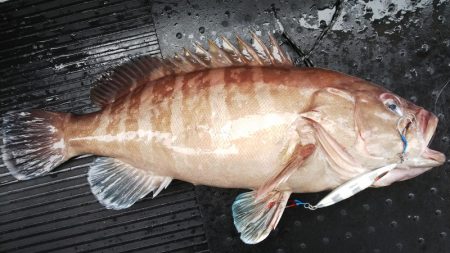 第二龍勢丸 釣果