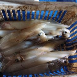 海龍丸（石川） 釣果