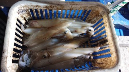 海龍丸（石川） 釣果