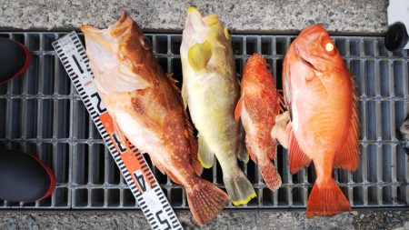 第二龍勢丸 釣果