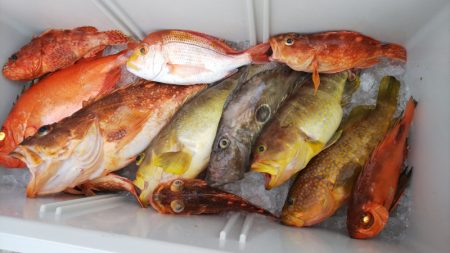 第二龍勢丸 釣果