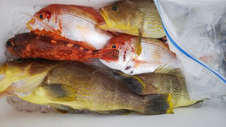 第二龍勢丸 釣果