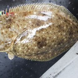 第二龍勢丸 釣果