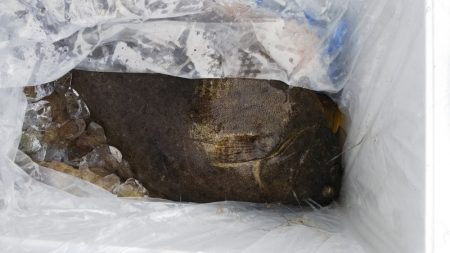 第二龍勢丸 釣果