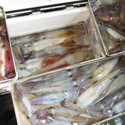 第二龍勢丸 釣果