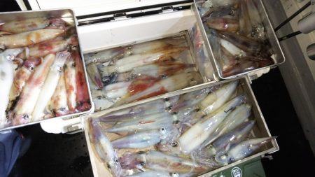 第二龍勢丸 釣果