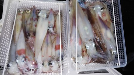 第二龍勢丸 釣果