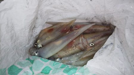 第二龍勢丸 釣果