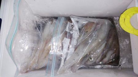 第二龍勢丸 釣果