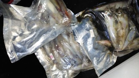 第二龍勢丸 釣果