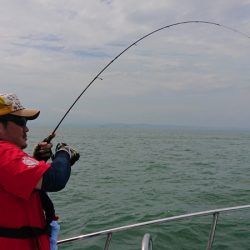 シースナイパー海龍 釣果