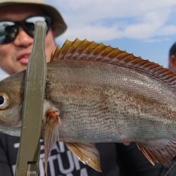 シースナイパー海龍 釣果
