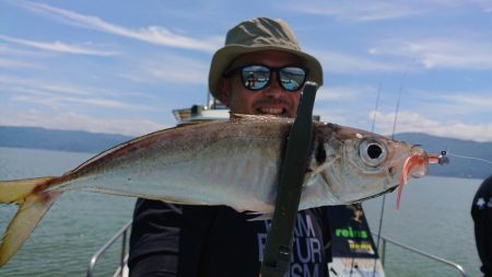 シースナイパー海龍 釣果