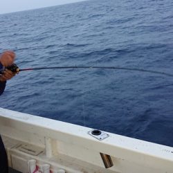 海皇丸 釣果