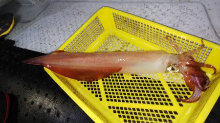 第二龍勢丸 釣果