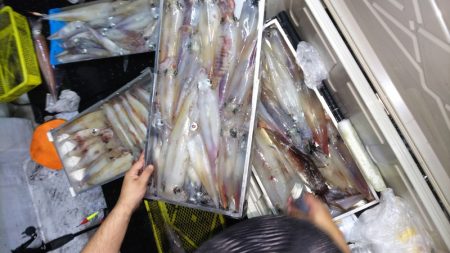 第二龍勢丸 釣果