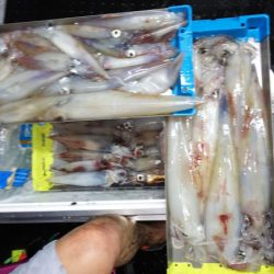 第二龍勢丸 釣果