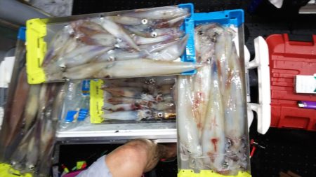 第二龍勢丸 釣果