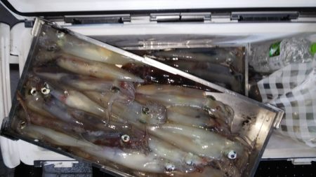 第二龍勢丸 釣果