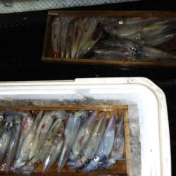 第二龍勢丸 釣果