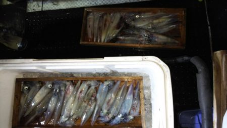 第二龍勢丸 釣果