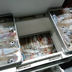 ＴＡＲＯＭＡＲＵ 釣果