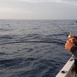 海皇丸 釣果