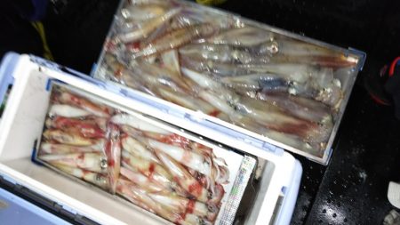 第二龍勢丸 釣果