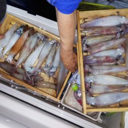 第二龍勢丸 釣果