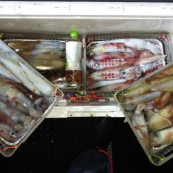 第二龍勢丸 釣果