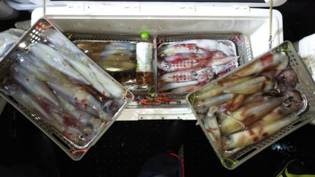 第二龍勢丸 釣果