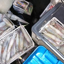 第二龍勢丸 釣果