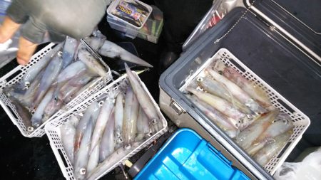 第二龍勢丸 釣果