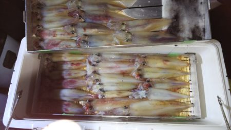 第二龍勢丸 釣果