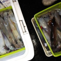 第二龍勢丸 釣果