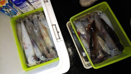 第二龍勢丸 釣果