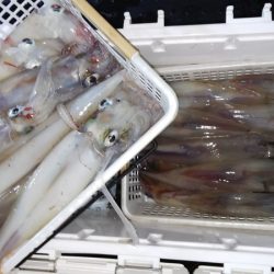 第二龍勢丸 釣果