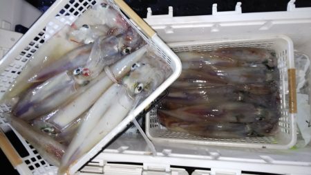 第二龍勢丸 釣果