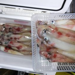 第二龍勢丸 釣果