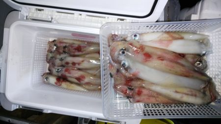 第二龍勢丸 釣果