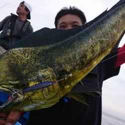 第三共栄丸 釣果