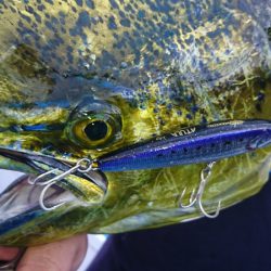 第三共栄丸 釣果