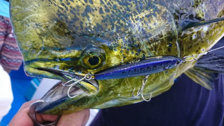 第三共栄丸 釣果