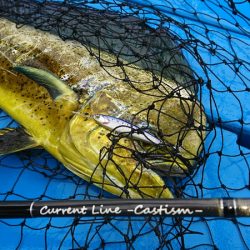 第三共栄丸 釣果