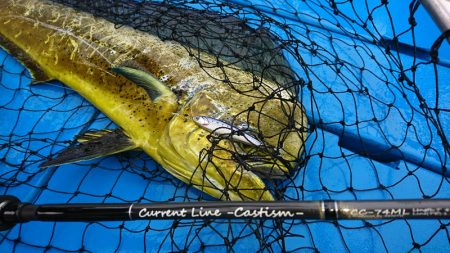 第三共栄丸 釣果